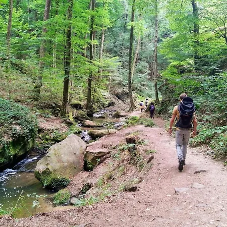 Tent On A Campsite, Bordering The Forest, Luxembourg At 27 Km * Medernach